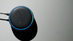 alexa-thumb-1 alexa thumb 1.jpg